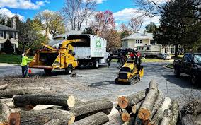 Best Tree Mulching  in Keystone Heights, FL
