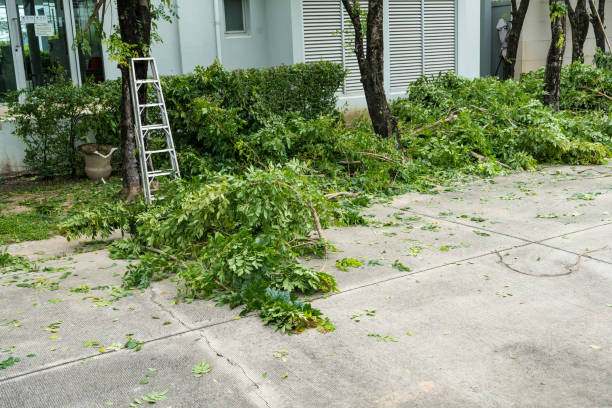 Best Lawn Irrigation Installation and Maintenance  in Keystone Heights, FL