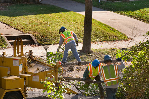 Best Hazardous Tree Removal  in Keystone Heights, FL