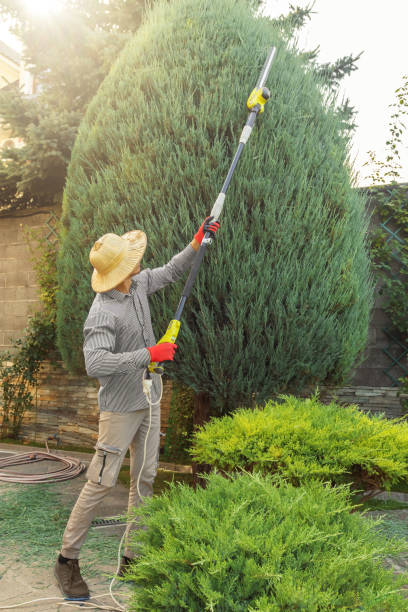 Best Emergency Tree Removal  in Keystone Heights, FL